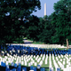 Illustration for article titled 6 Cemeteries That Are Clearly Competing For Will Smith’s Grave
